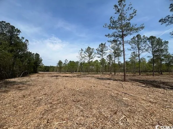 TBD Huckleberry Rd., Galivants Ferry, SC 29544