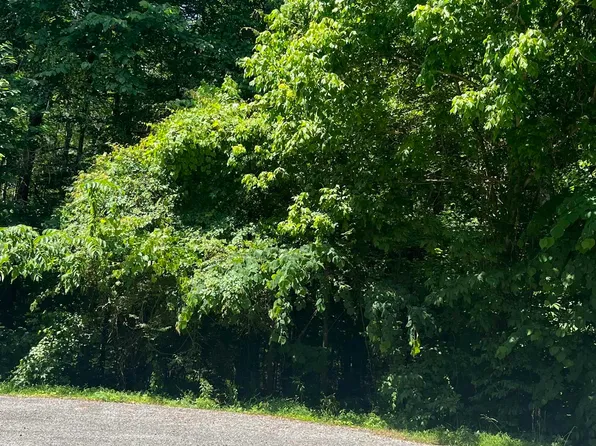 LOT 8 County Road 567, Gaylesville, AL 35973