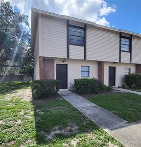 2029 Pine Chace Ct, Tampa, FL, 33613