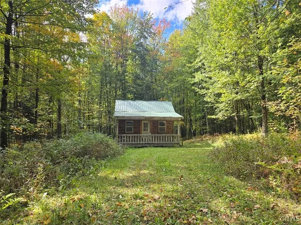 11321 Florence Hill Rd, Camden, NY 13316