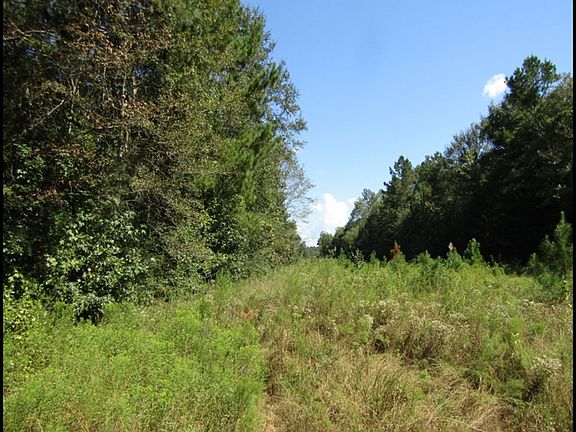 3rd image of 2742 Highway 11 Moselle
