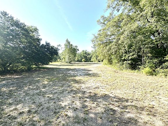5th image of 198 Trail