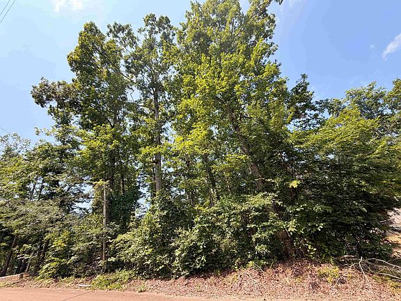 2nd image of 0 Yellow Creek Ln #42-K