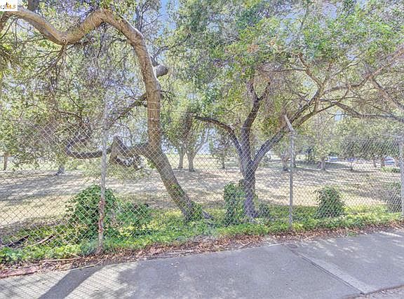 Ocean view from the back deck