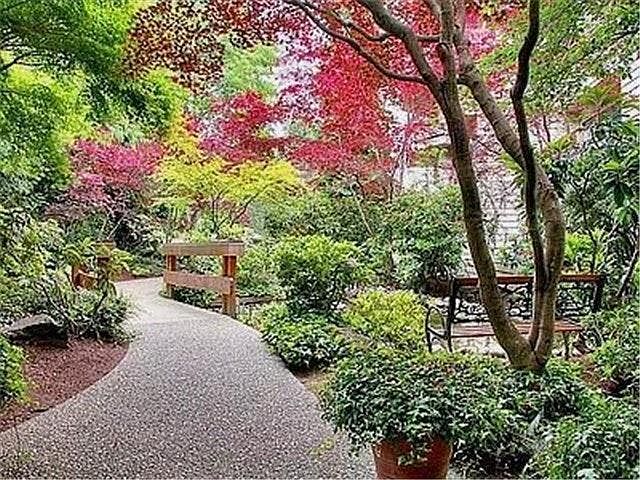 Entry is peaceful and relaxing