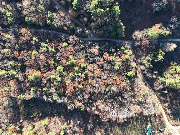 2nd image of 00 Whitney Road #132