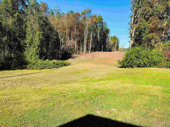 1145 Cypress Tank Rd, Pocahontas, TN 38061