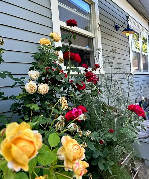 2510 Lynn St — Photo 13