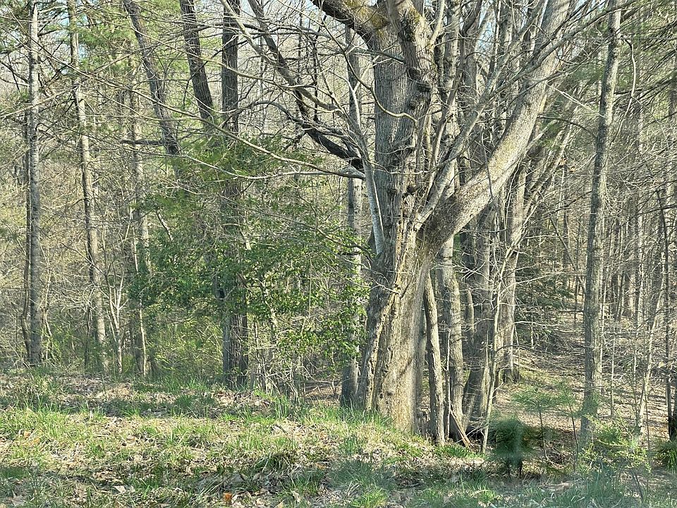 2nd image of Charles St Lot 5