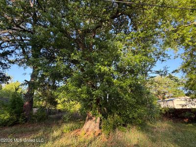 No Wilkerson Cir, Moss Pt, MS, 39562