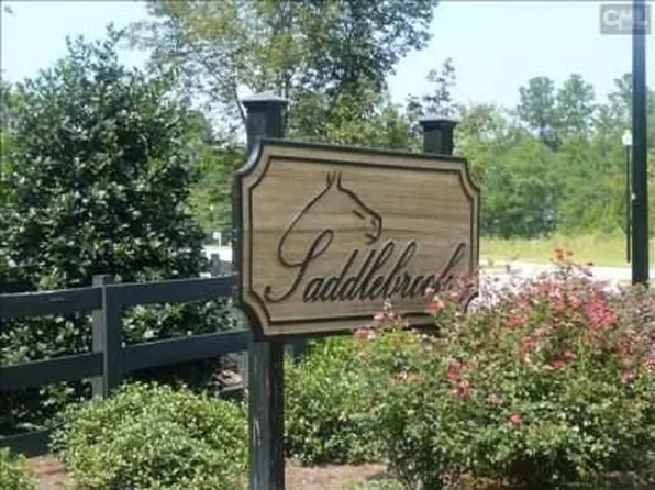 37 Leatherwood Dr, Lugoff, SC 29078
