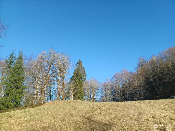 0 Grabhorn Drive, Mossyrock, WA 98564