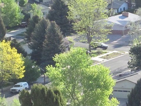 View of Home from Hills