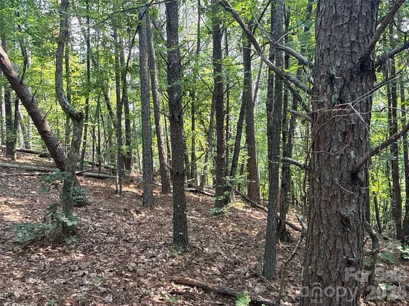 242 Golden Creek Rdg, Forest City, NC 28167