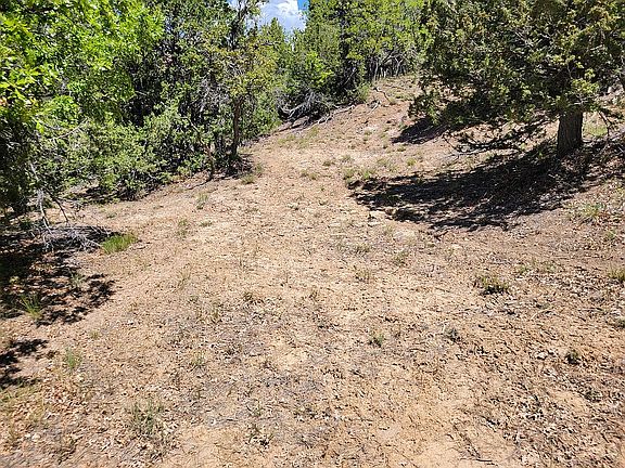 3rd image of 0 Rio Grande Rd