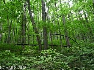 4th image of Bear Path Trl