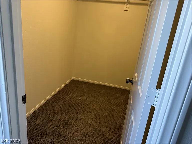 1141 Cathedral Ridge St — Photo 49