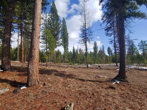 19920 Alder Creek Rd, Bigfork, MT 59911