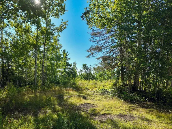 Caspers Hill Rd, Grand Marais, MN 55604