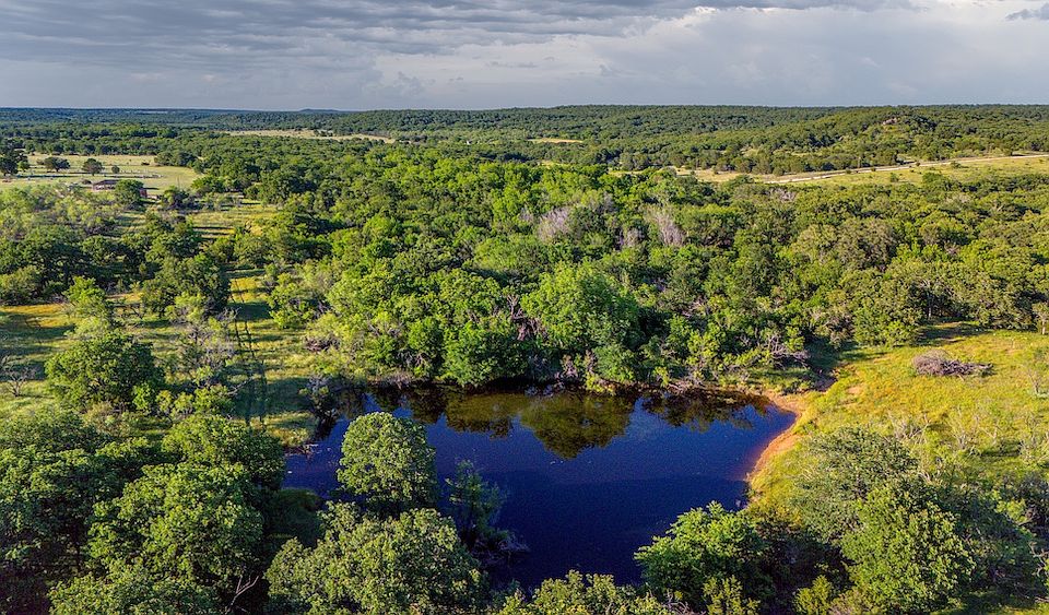 Oaks and Pond