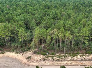 25011 Balmorhea Way, Montgomery, TX 77316