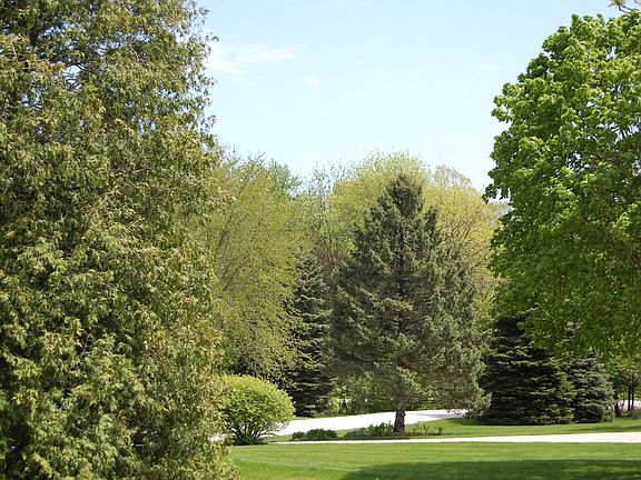 view from front yard