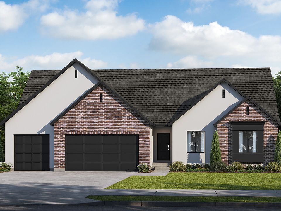 Jackie - Transitional