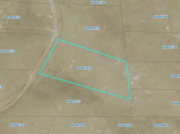 150 Black Beaver Circle, Hartsel, CO 80449