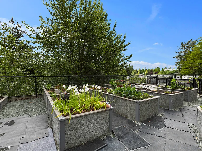 Ovation at Paine Field 55+ Senior Community — Photo 47