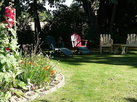 almost 1/2 acre yard