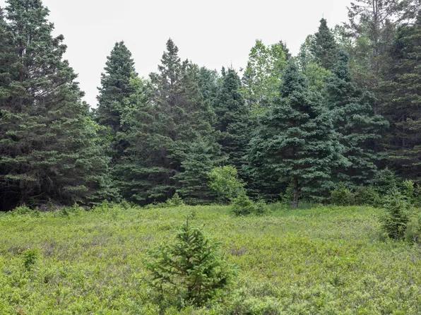 2 Us, Gulliver, MI 49840