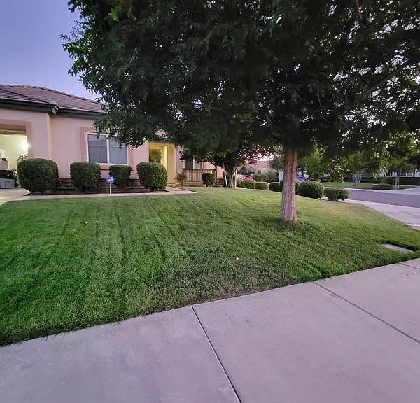 2274 Purple Finch Ct — Photo 31