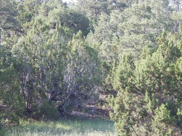 W Snowline Dr, Eagar, AZ 85925