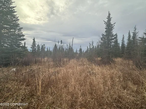 5 Wells St, Ninilchik, AK 99639