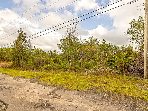 4th image of Road 9 Koloa Maoli Lot 5617