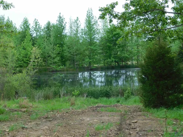 Cardinal Rd, Diana, TX 75640