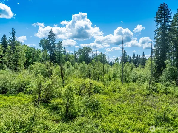 33805 NE Lake Joy Road, Carnation, WA 98014