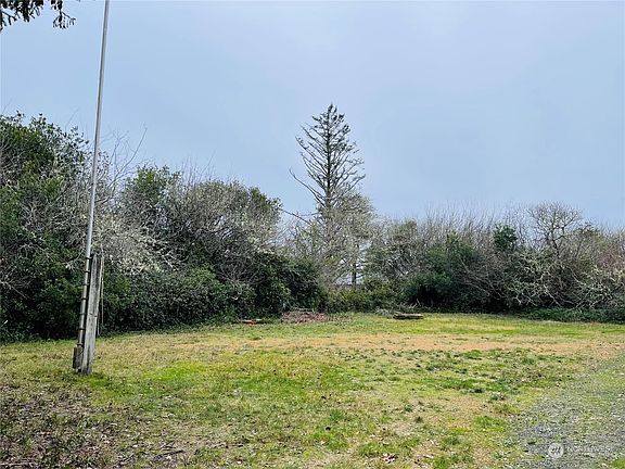 2nd image of 113 Satsop Street SW