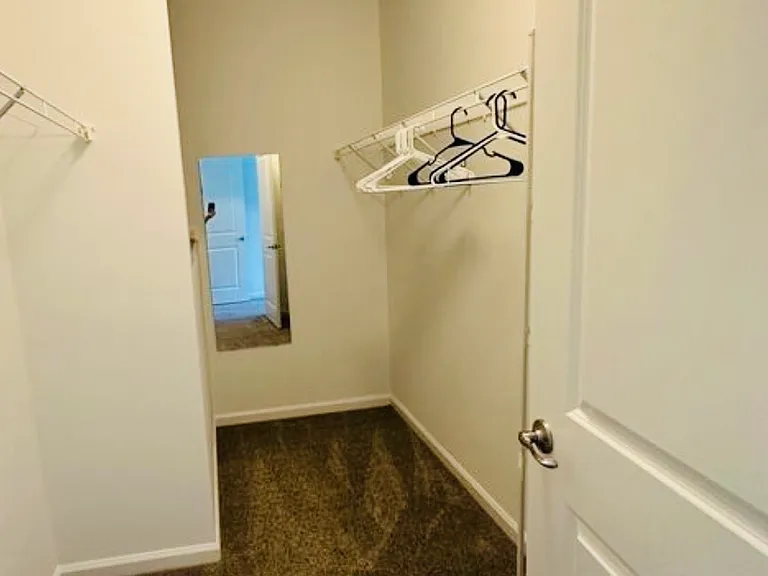 25884 Racing Sun Dr — Photo 11