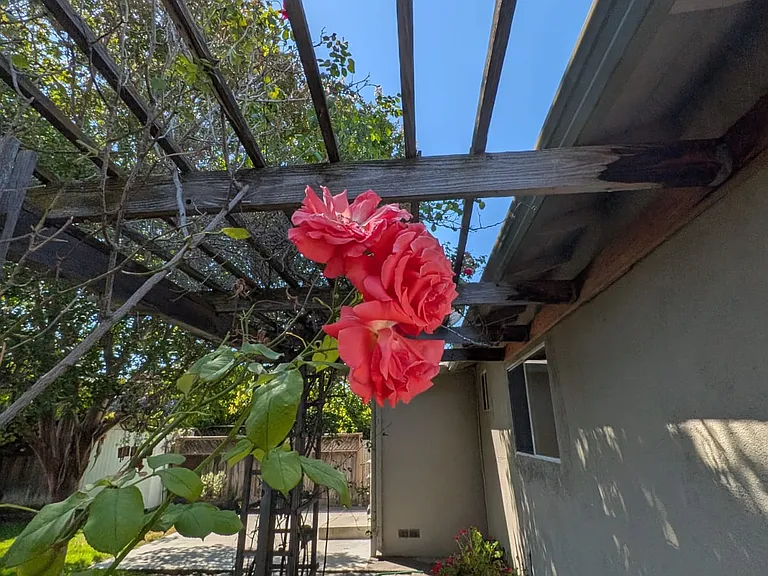 639 Azevedo Ct — Photo 42