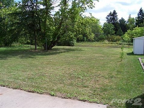 Large back yard