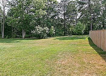 2010 (No Fence)