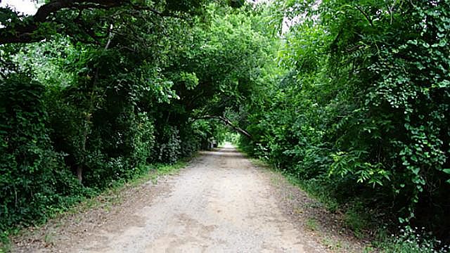 1st image of 409 Shady Ln