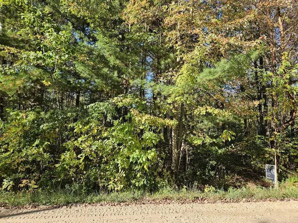 1090 Frank St, Beaverton, MI 48612