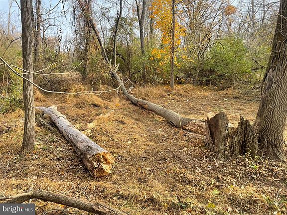 4th image of 17 Cromby Rd