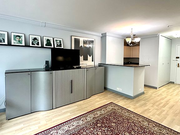 4th image of 777 N Michigan Ave APT 705