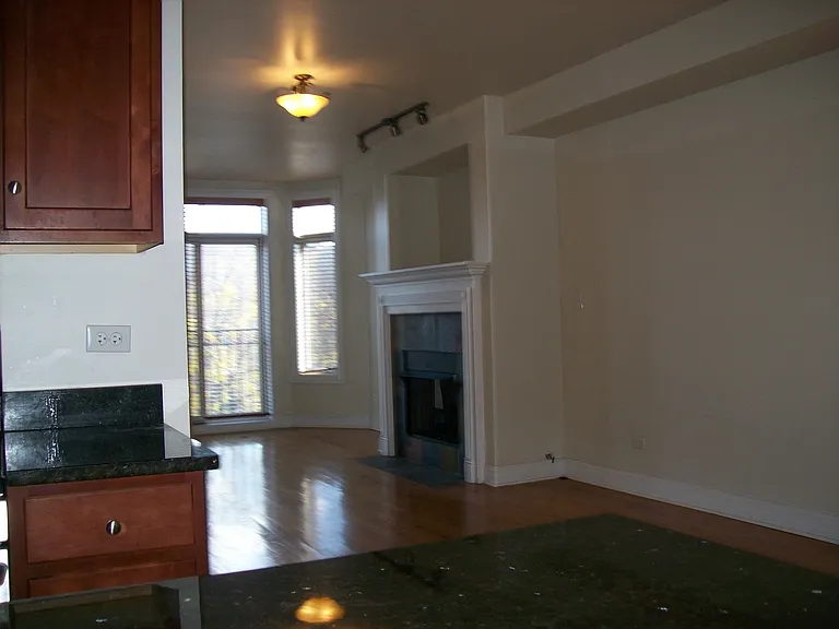 4222 S Indiana Ave #1 — Photo 5