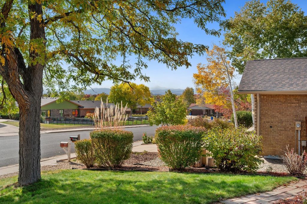 4951 Filbert Dr