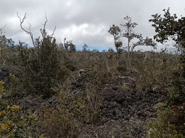 Bamboo Ln Lot 21, Ocean View, HI 96737