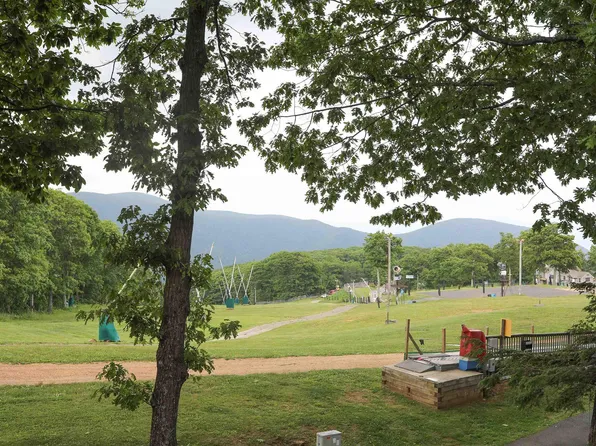 249 Timbers, Wintergreen Resort, VA 22967